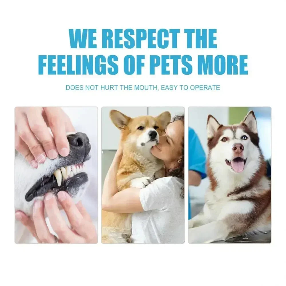 Complete Pet Toothbrush And Toothpaste Kit