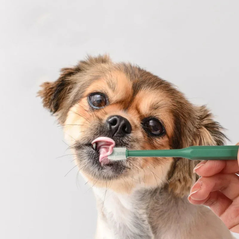 Complete Pet Toothbrush And Toothpaste Kit